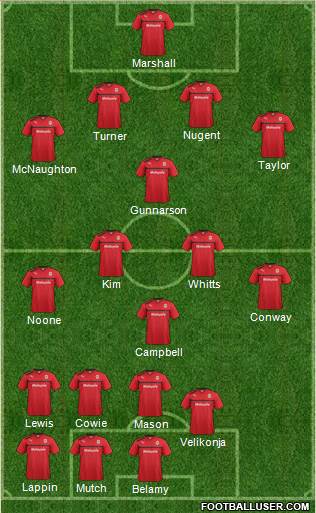 Cardiff City Formation 2013