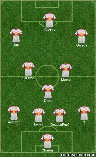 New York Red Bulls Formation 2013