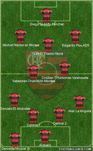 CR Flamengo Formation 2013