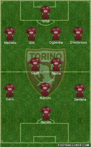 Torino Formation 2013