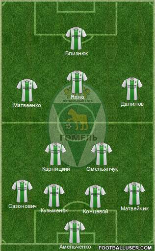 FC Gomel Formation 2013