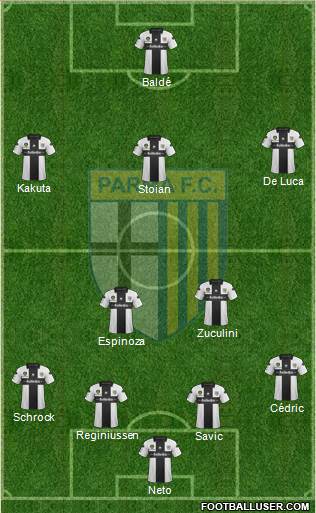 Parma Formation 2013