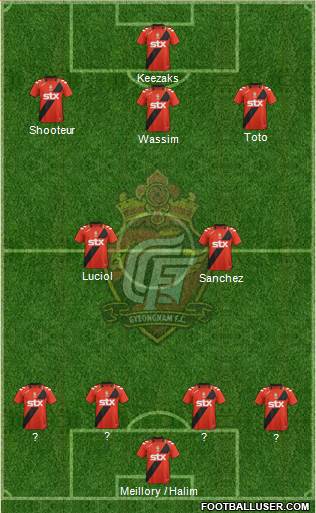 Gyeongnam FC Formation 2013