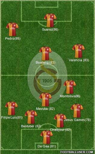 Galatasaray SK Formation 2013