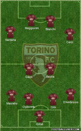 Torino Formation 2013