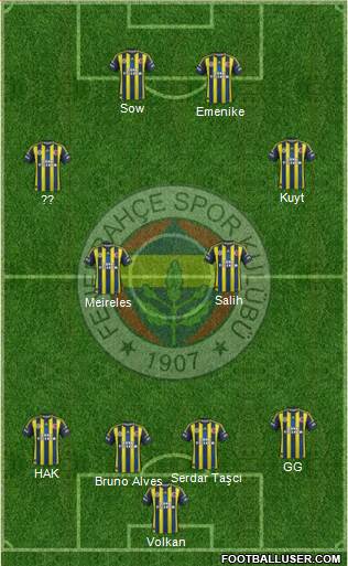 Fenerbahçe SK Formation 2013