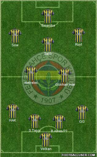 Fenerbahçe SK Formation 2013