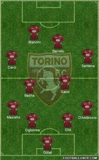 Torino Formation 2013