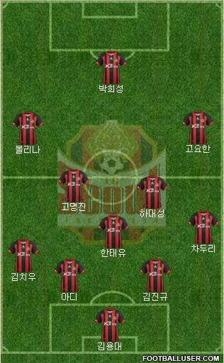 FC Seoul Formation 2013