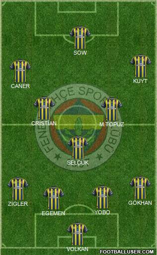 Fenerbahçe SK Formation 2013