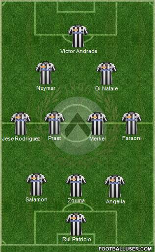 Udinese Formation 2013