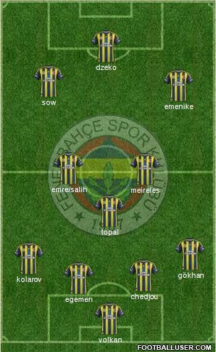 Fenerbahçe SK Formation 2013