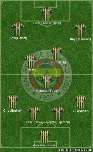 Fenerbahçe SK Formation 2013