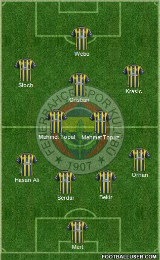 Fenerbahçe SK Formation 2013