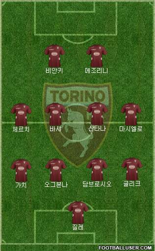 Torino Formation 2013