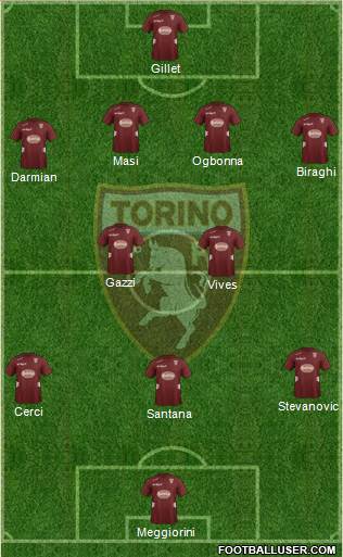 Torino Formation 2013