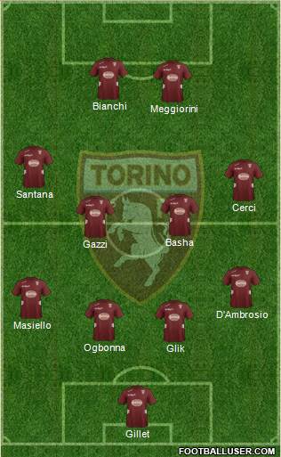 Torino Formation 2013