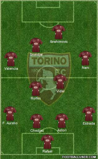 Torino Formation 2013