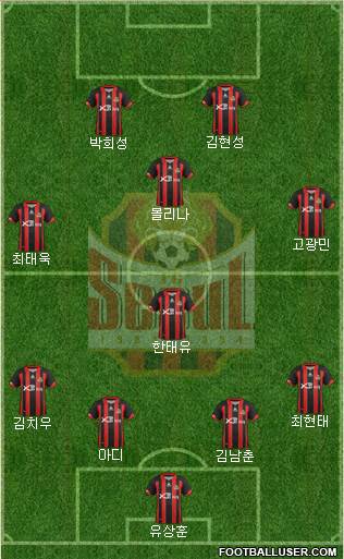 FC Seoul Formation 2013