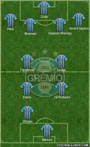 Grêmio FBPA Formation 2013