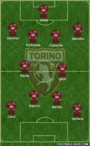 Torino Formation 2013