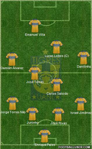 Club Universitario de Nuevo León Formation 2013