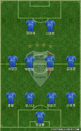 Suwon Samsung Blue Wings Formation 2013