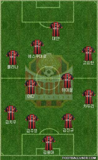 FC Seoul Formation 2013