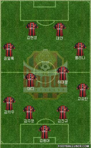 FC Seoul Formation 2013