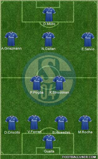 FC Schalke 04 Formation 2013