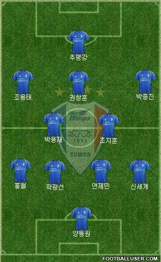 Suwon Samsung Blue Wings Formation 2013