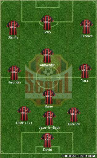 FC Seoul Formation 2013