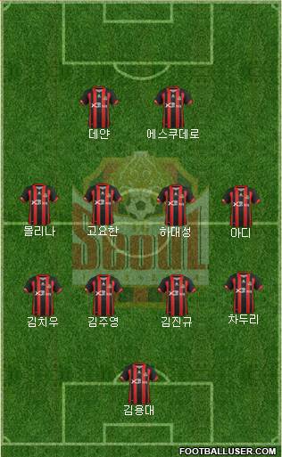 FC Seoul Formation 2013