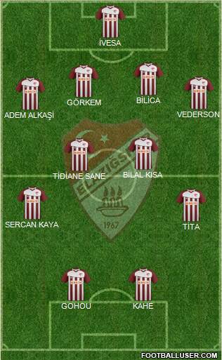 Elazigspor Formation 2013