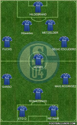 FC Schalke 04 Formation 2013