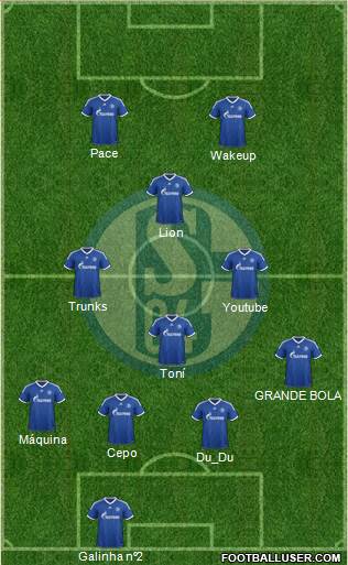 FC Schalke 04 Formation 2013