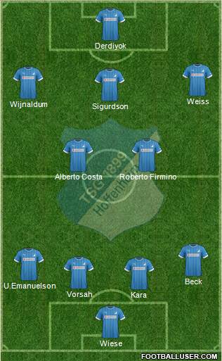 TSG 1899 Hoffenheim Formation 2013