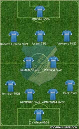 TSG 1899 Hoffenheim Formation 2013