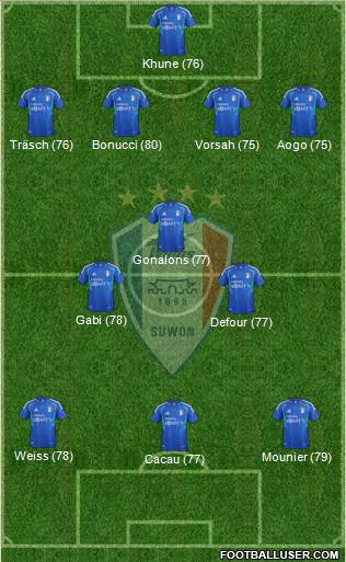 Suwon Samsung Blue Wings Formation 2013