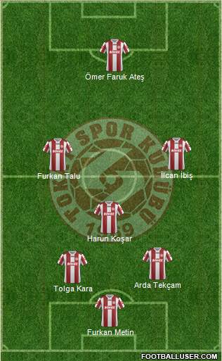 Tokatspor Formation 2013