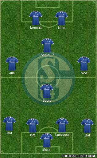 FC Schalke 04 Formation 2013