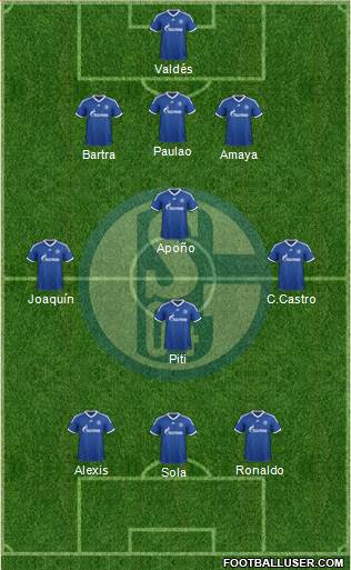 FC Schalke 04 Formation 2013