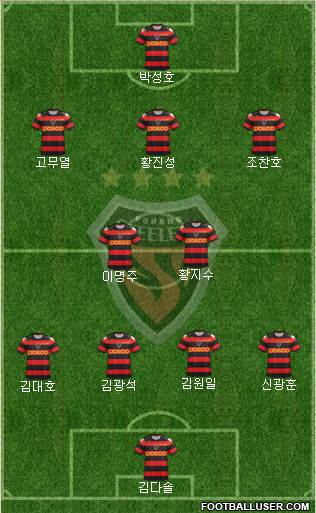 Pohang Steelers Formation 2013