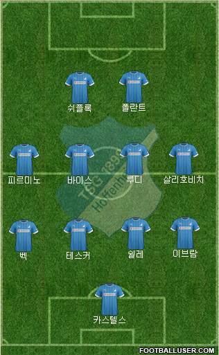 TSG 1899 Hoffenheim Formation 2013