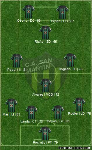 San Martín de San Juan Formation 2013