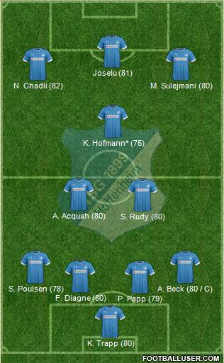 TSG 1899 Hoffenheim Formation 2013