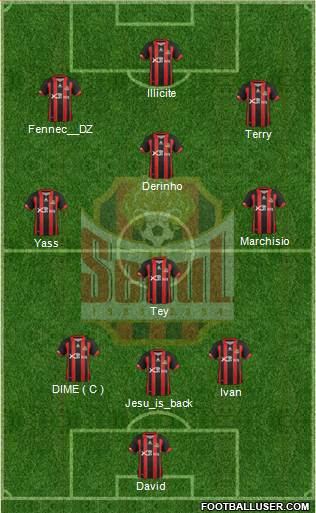 FC Seoul Formation 2013