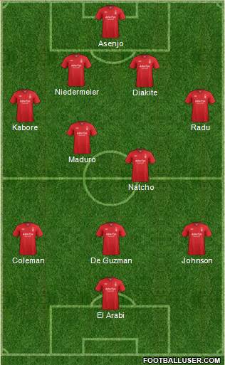 Nottingham Forest Formation 2013