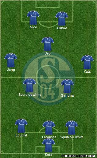 FC Schalke 04 Formation 2013