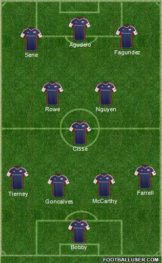 New England Revolution Formation 2013